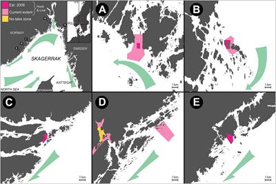 Restoration of Abundance and Dynamics of Coastal Fish and Lobster Within Northern Marine Protected Areas Across Two Decades